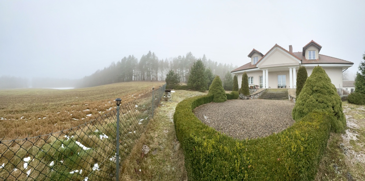 video image