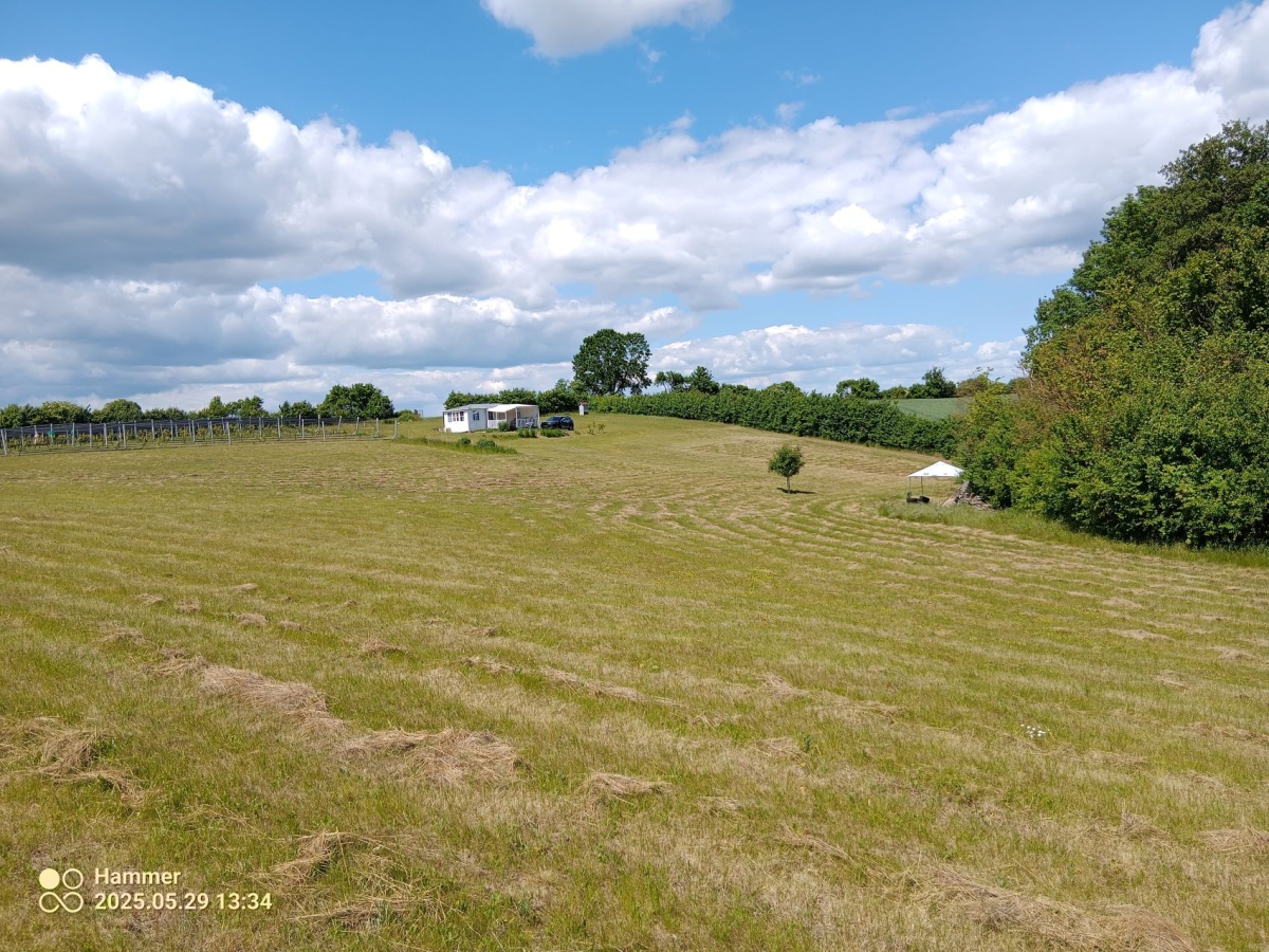 video image